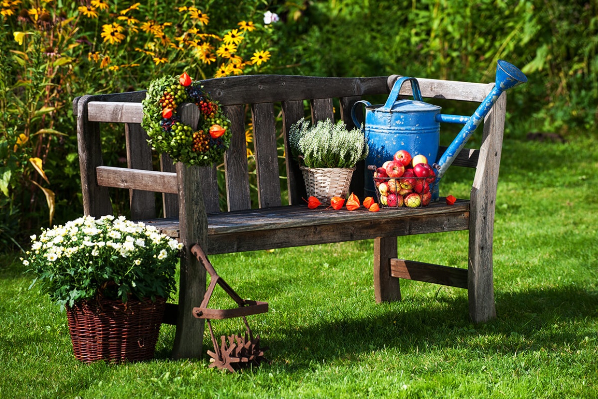 decorare il giardino in autunno panchina di legno con piante