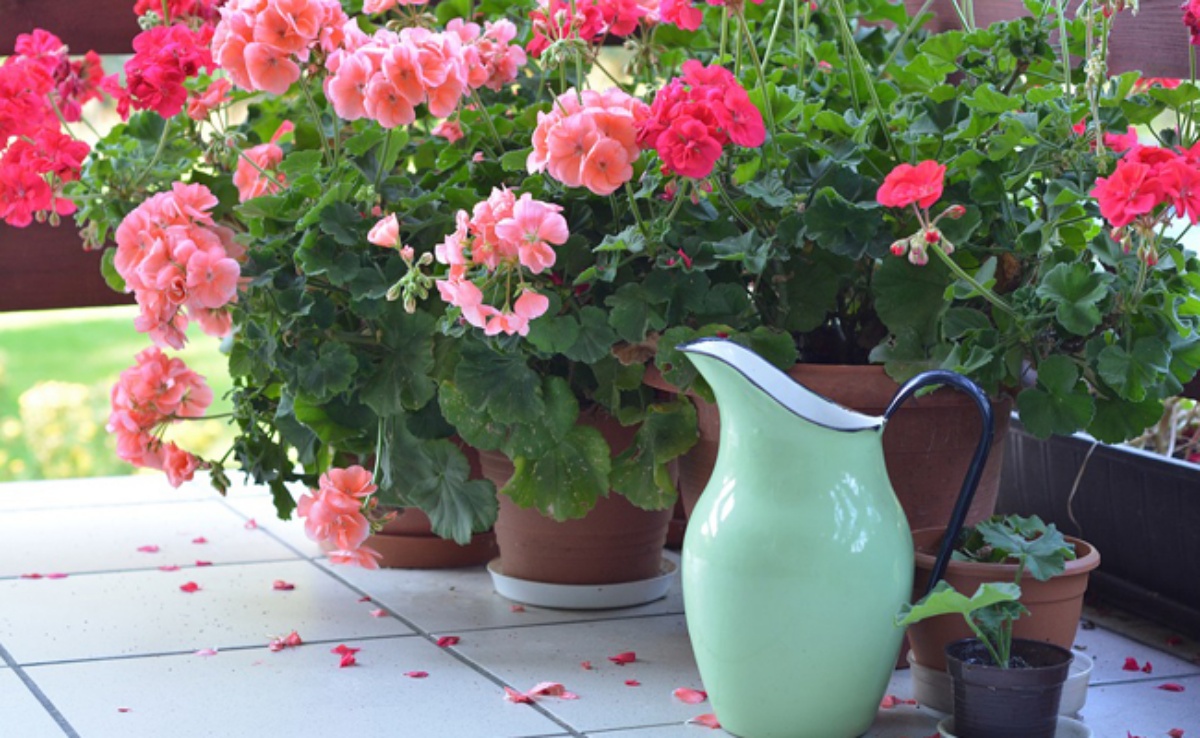 giardino decorato con piante in vaso da fiore