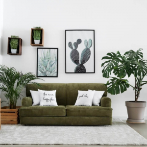 Piante per interni a foglia verde per decorare una casa moderna!
