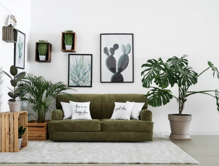 Piante per interni a foglia verde per decorare una casa moderna!