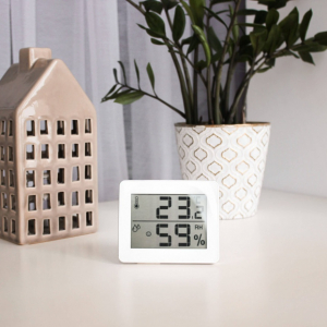 Temperatura per le piante da interno e l’umidità da avere in casa