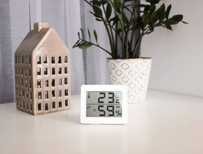 Temperatura per le piante da interno e l’umidità da avere in casa