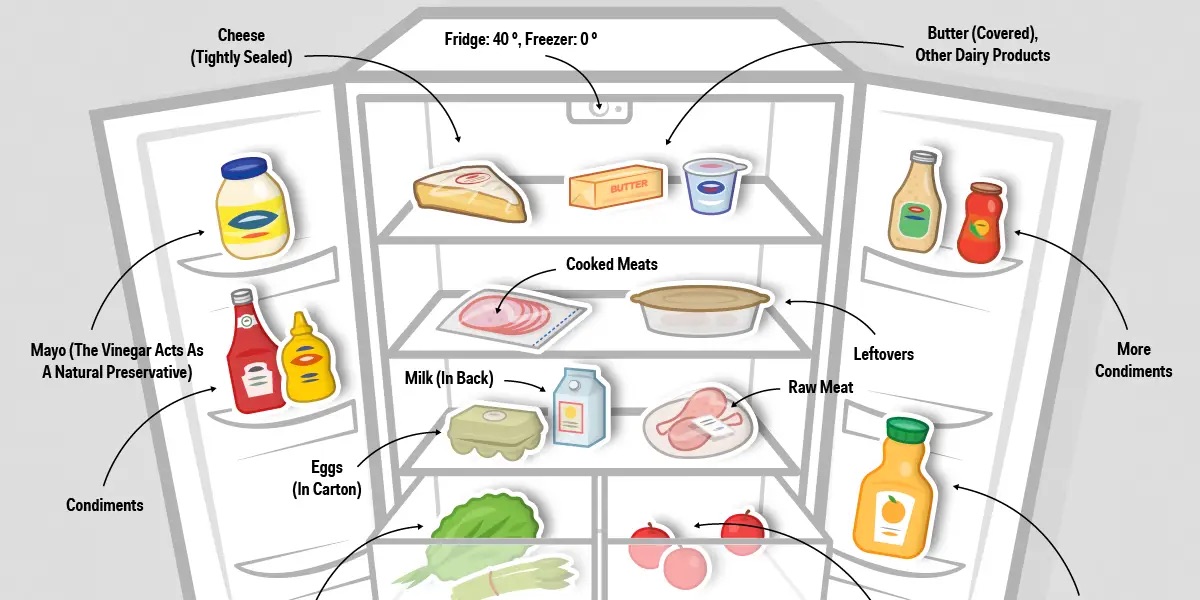 disegno di frigorifero con disposizione degli ingredienti
