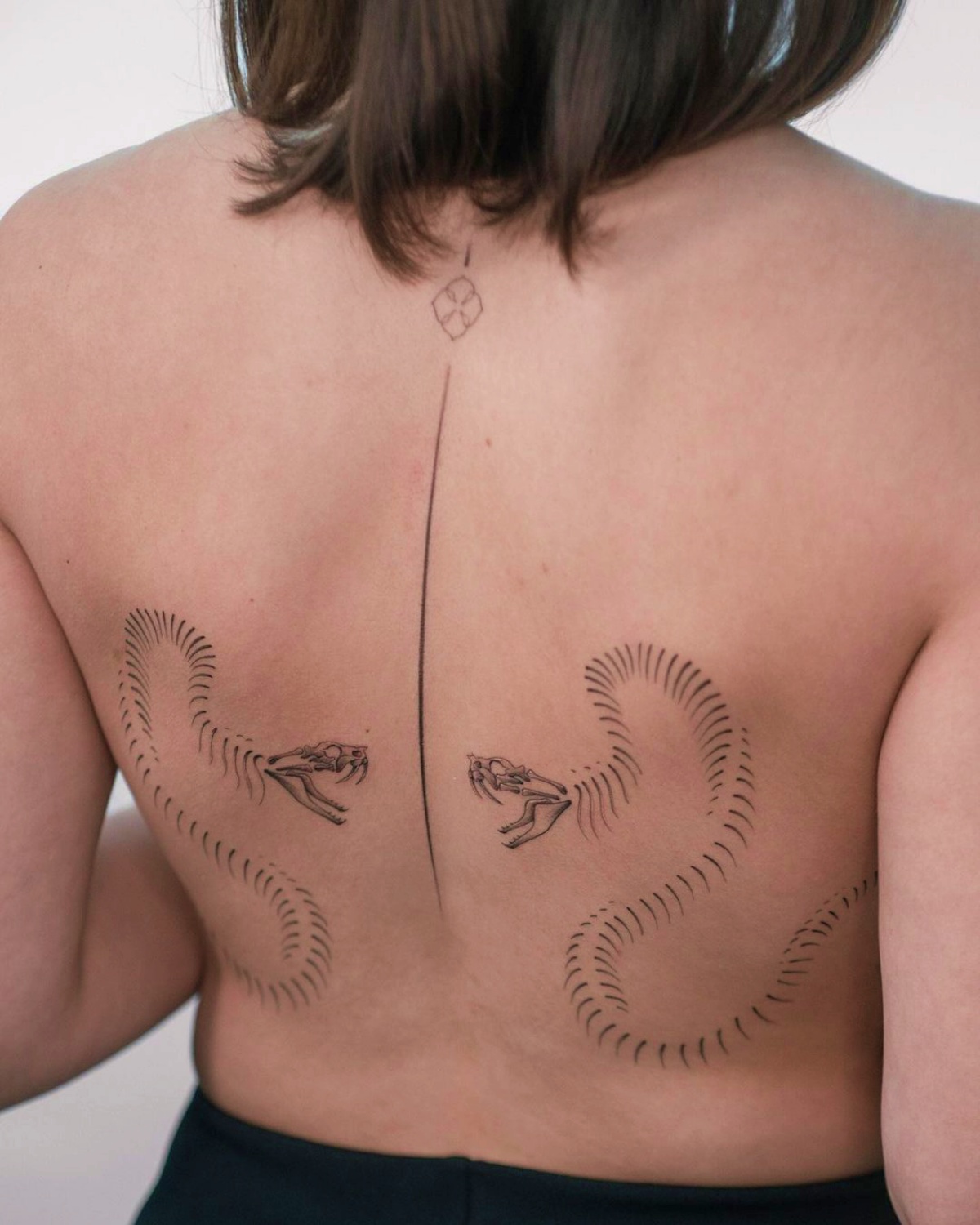 disegno due serpenti separati da una linea tattoo