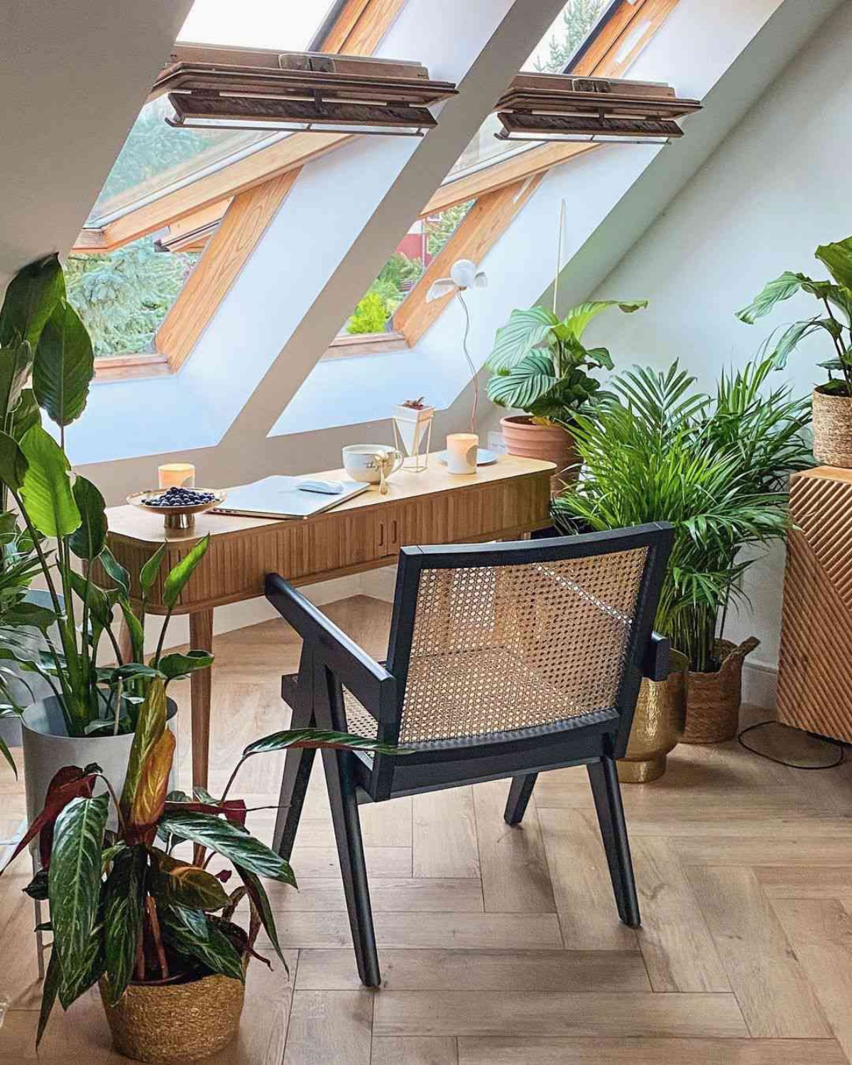 home office ufficio scrivania decorata con le piante