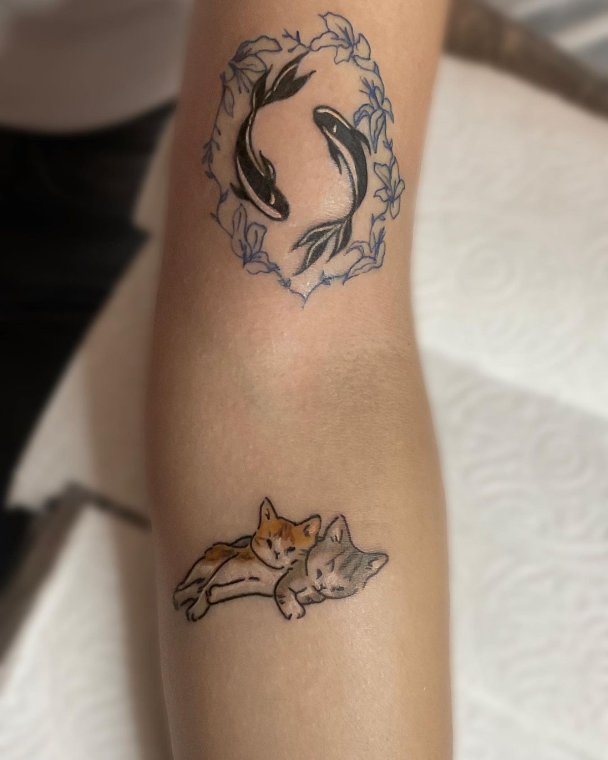 tattoo avambraccio donna disegno di gattini