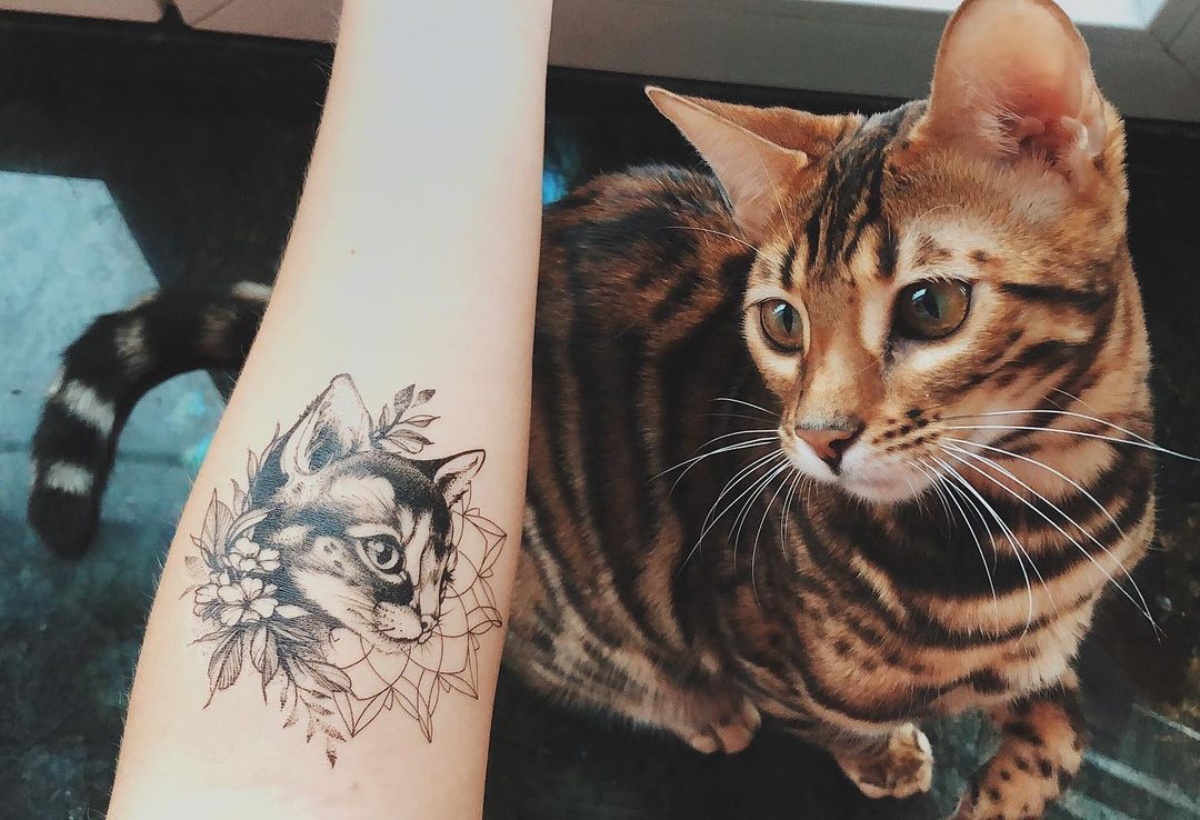 tattoo gatto sull avambraccio donna