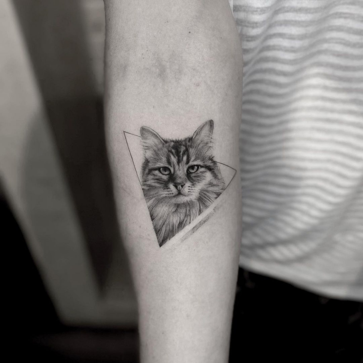 tattoo triangolo con gatto dentro tatuaggio avambraccio uomo