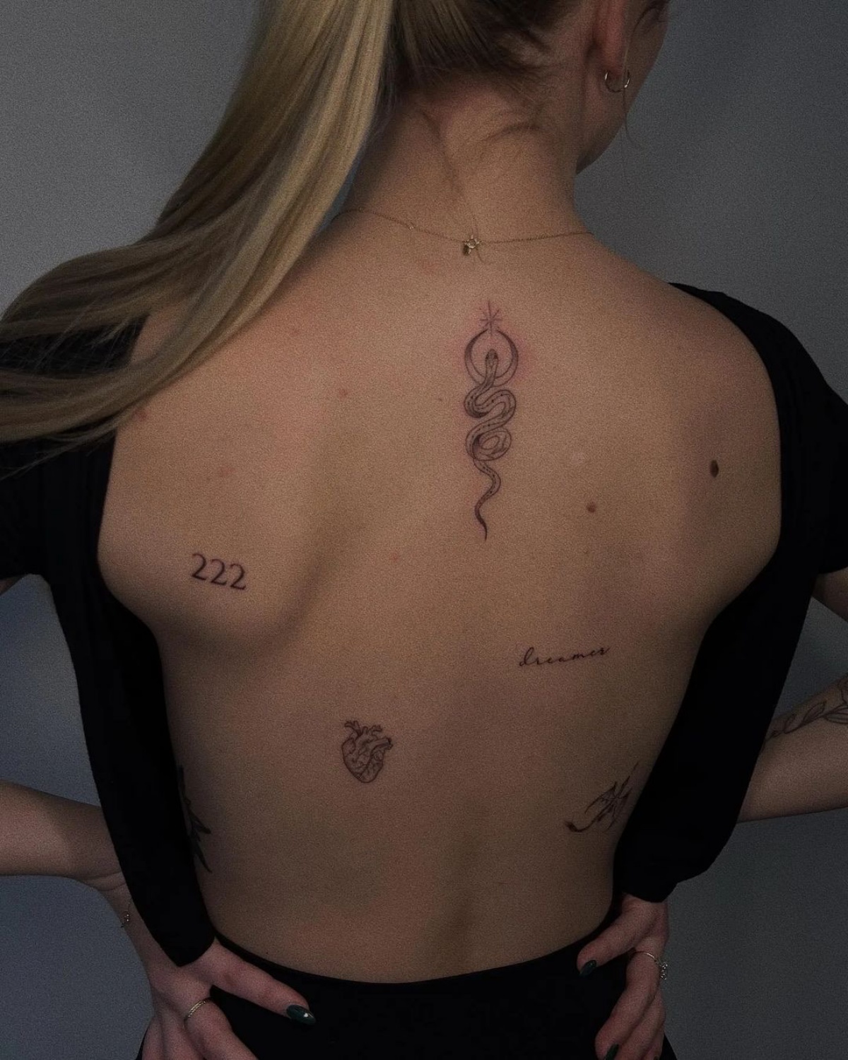 tatuaggio serpente piccolo sulla schiena tattoo numeri