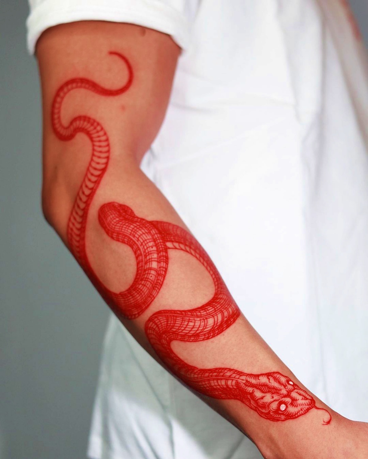 tatuaggio serpente significato tattoo inchiostro rosso