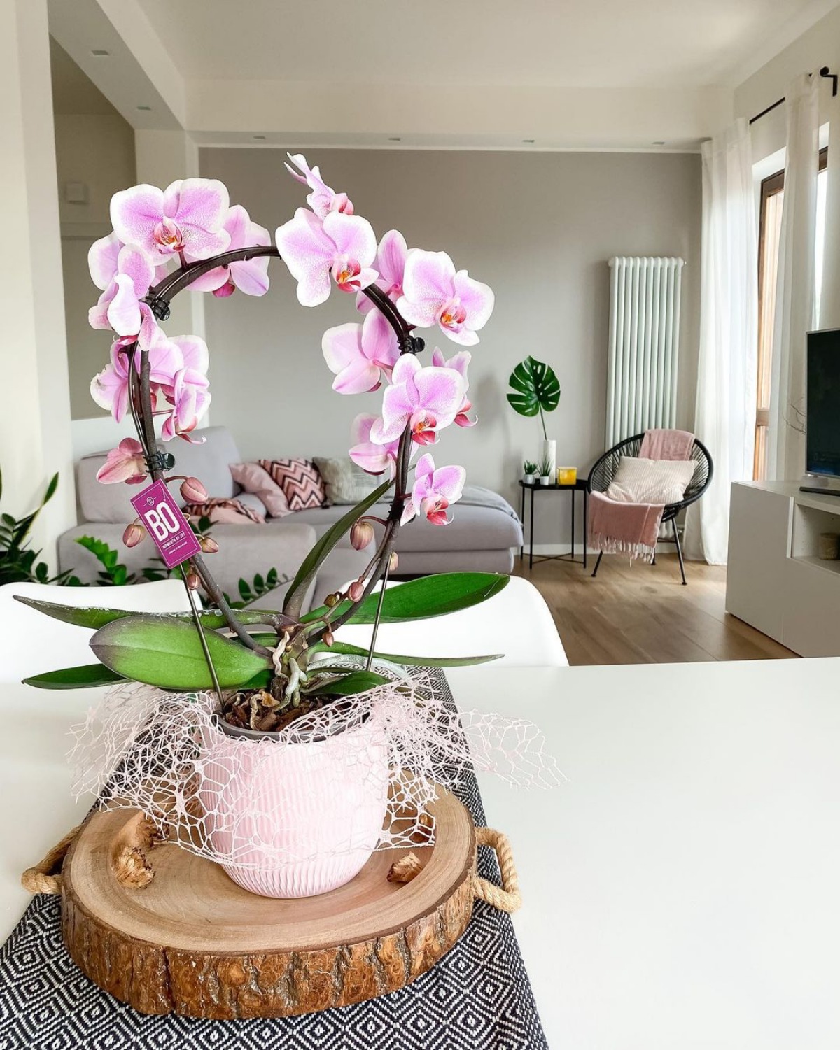 decorazione isola cucina con orchidea colorata
