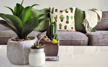 Organizzare gli spazi di casa: progetta un ambiente funzionale con uno stile unico!